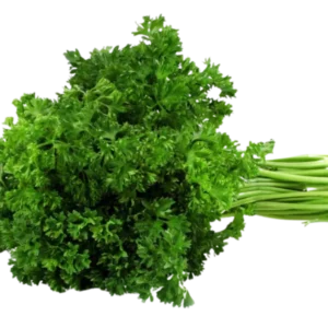 Persil Ordinaire 1 botte