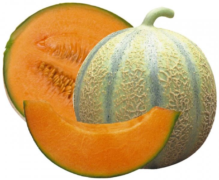 Melon